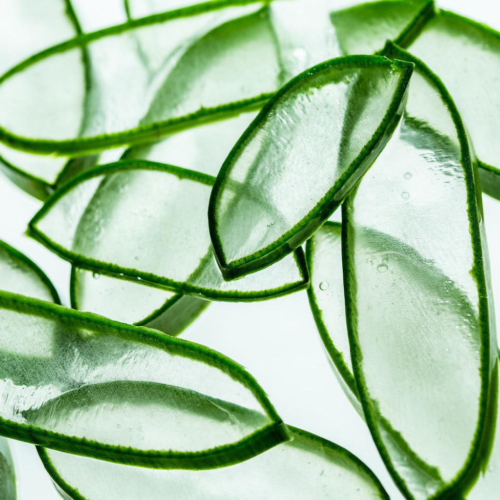 AROMATICA Soothing Aloe Aqua Cream 150g